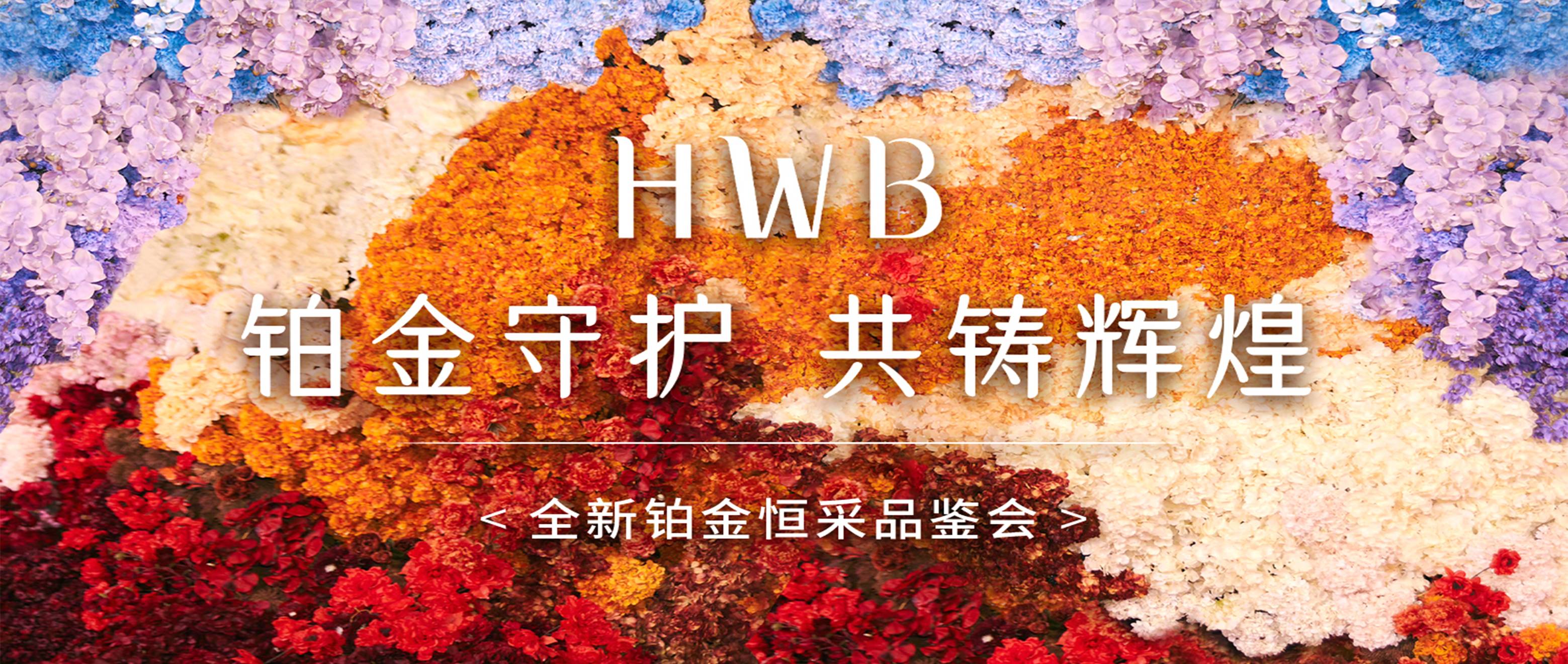 铂金守护 共铸辉煌